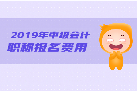 2019年天津中級(jí)會(huì)計(jì)考試報(bào)名費(fèi)是多少？