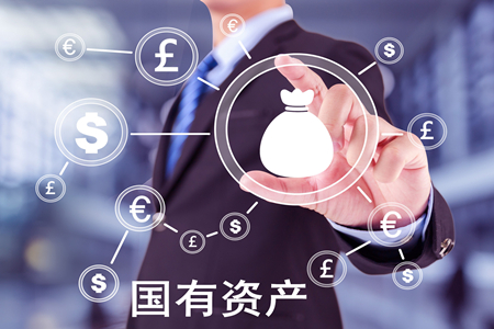 國有資產(chǎn)