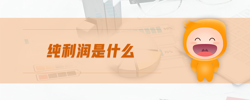 純利潤(rùn)是什么 純利潤(rùn)是什么