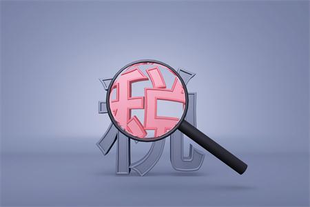 企業(yè)所得稅