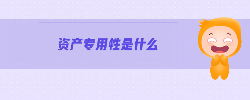 資產(chǎn)專用性是什么