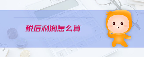 稅后利潤怎么算