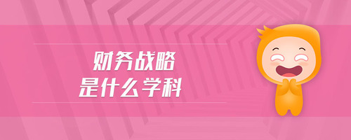 財(cái)務(wù)戰(zhàn)略是什么學(xué)科