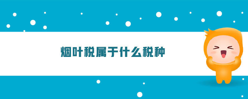 煙葉稅屬于什么稅種 煙葉稅屬于什么稅種