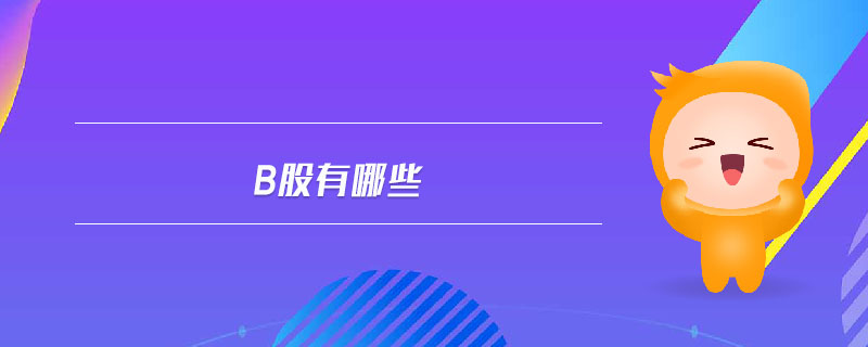 b股有哪些