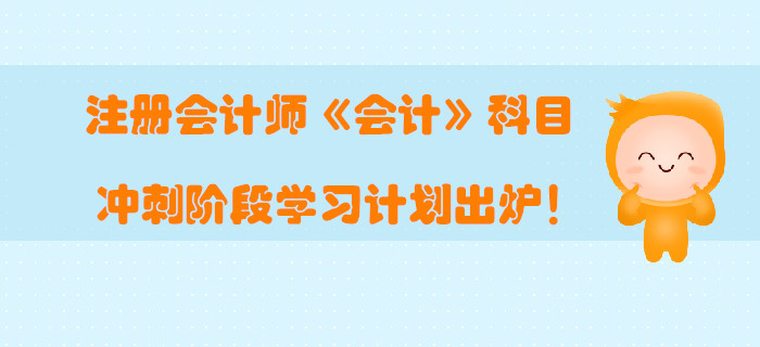 2019年注冊會計師《會計》科目沖刺階段學習計劃