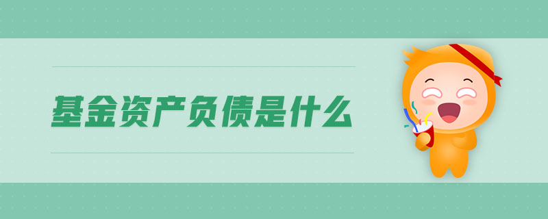 基金資產(chǎn)負(fù)債是什么
