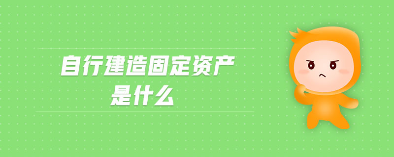自行建造固定資產(chǎn)是什么