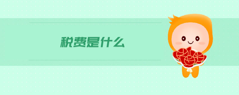稅費(fèi)是什么
