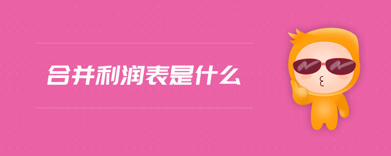 合并利潤表是什么