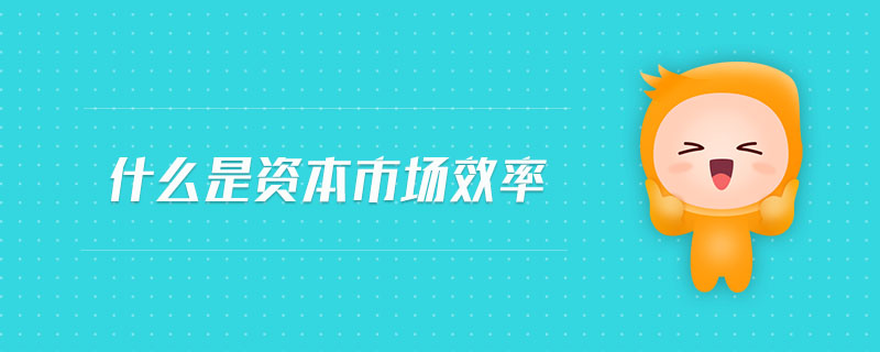 什么是資本市場效率