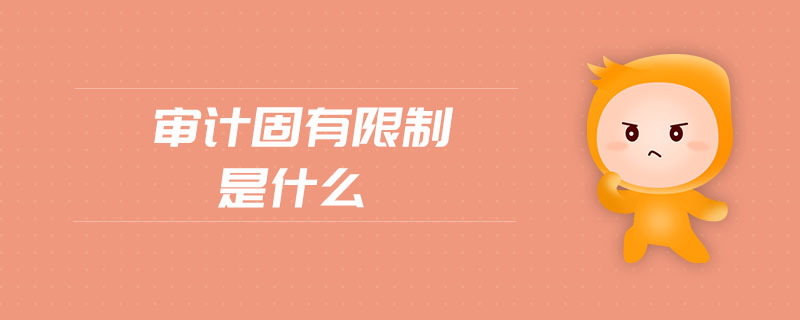 審計固有限制是什么