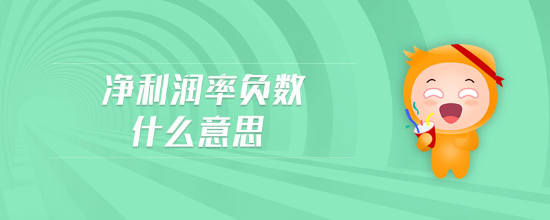 凈利潤(rùn)率負(fù)數(shù)什么意思