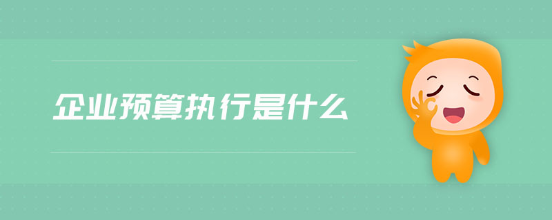 企業(yè)預(yù)算執(zhí)行是什么