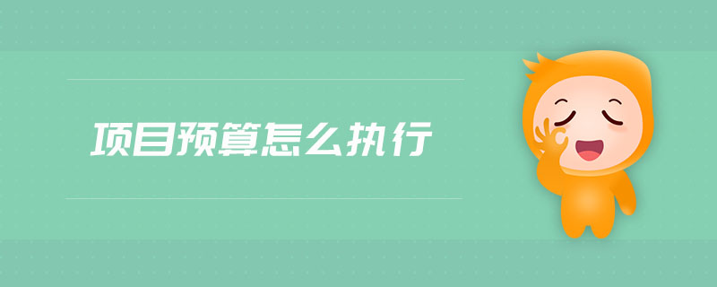 項目預(yù)算怎么執(zhí)行