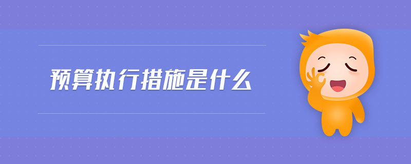 預算執(zhí)行措施是什么