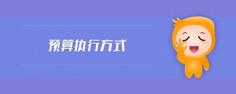預(yù)算執(zhí)行方式