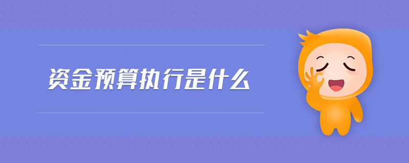 資金預算執(zhí)行是什么