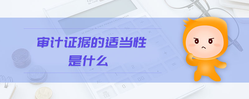 審計證據(jù)的適當(dāng)性是什么