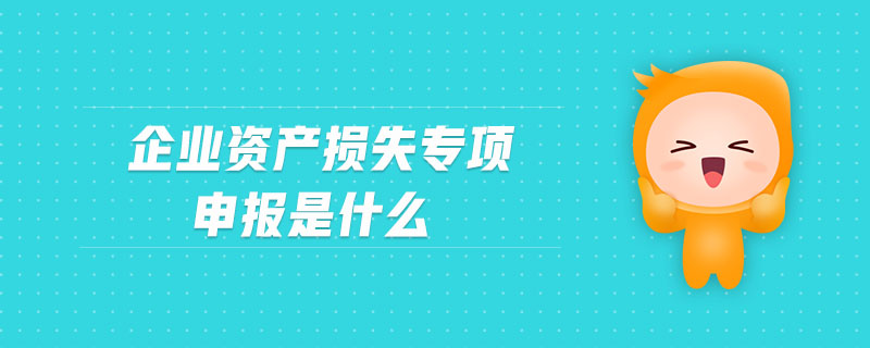 企業(yè)資產(chǎn)損失專項(xiàng)申報(bào)是什么