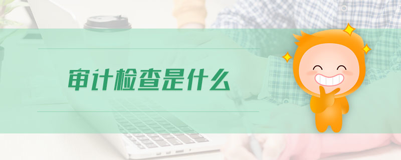 審計檢查是什么 審計檢查是什么
