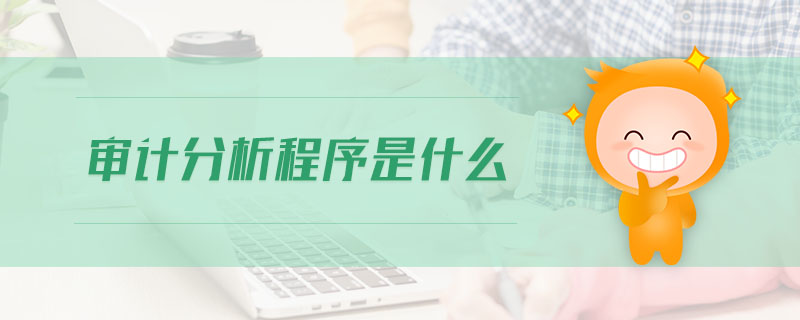 審計分析程序是什么 審計分析程序是什么