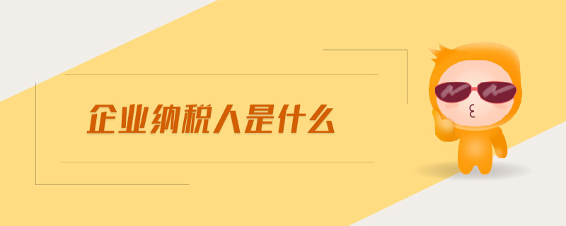 企業(yè)納稅人是什么