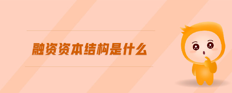 融資資本結(jié)構(gòu)是什么
