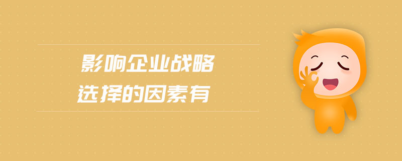 影響企業(yè)戰(zhàn)略選擇的因素有