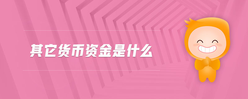 其它貨幣資金是什么