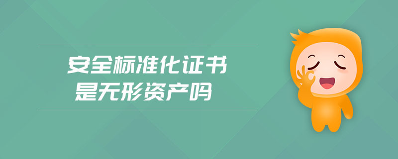 安全標(biāo)準(zhǔn)化證書是無形資產(chǎn)嗎