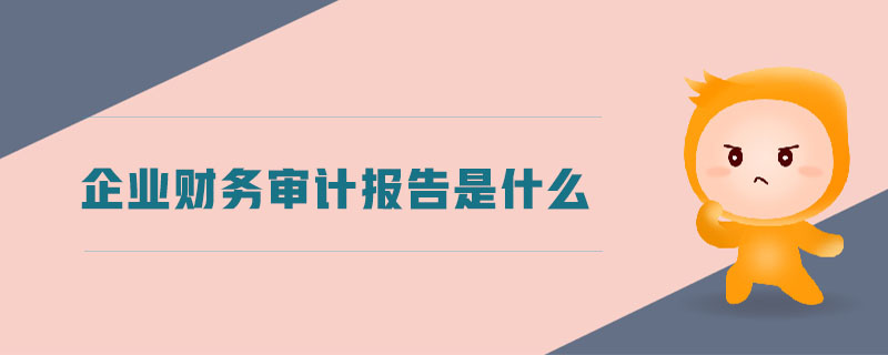 企業(yè)財務(wù)審計報告是什么