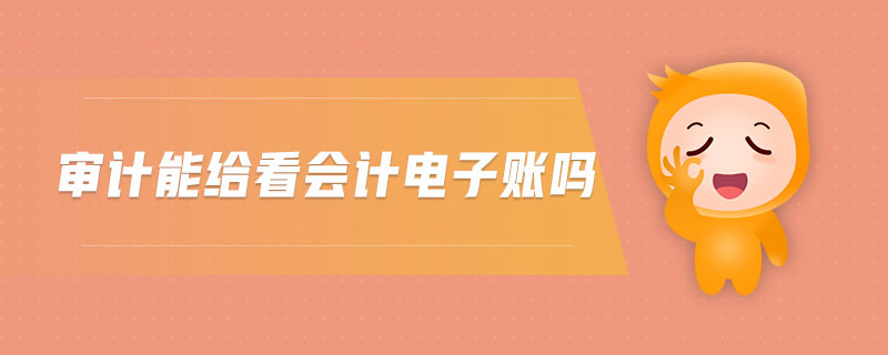審計(jì)能給看會(huì)計(jì)電子賬嗎