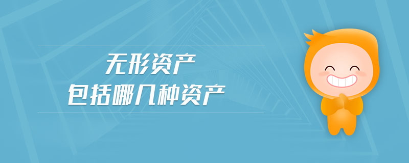 無形資產(chǎn)包括哪幾種資產(chǎn)