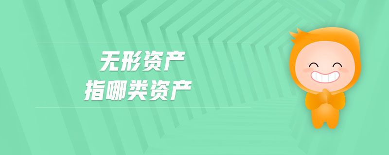 無形資產(chǎn)指哪類資產(chǎn)