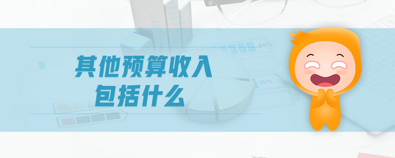 其他預(yù)算收入包括什么