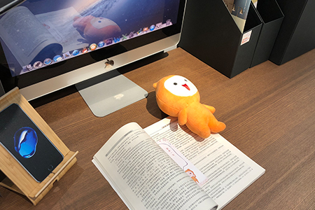 2019年稅務(wù)師補(bǔ)報名和考試時間已公布