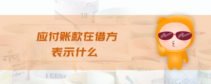 應(yīng)付賬款在借方表示什么