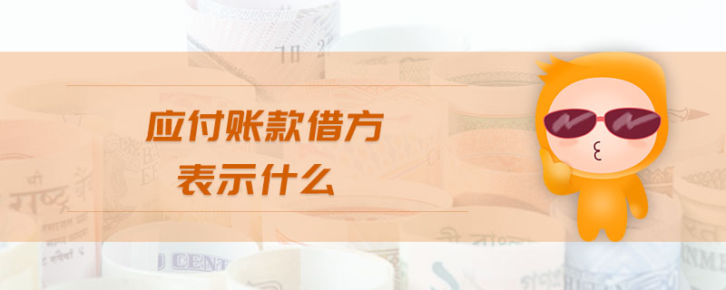 應(yīng)付賬款借方表示什么
