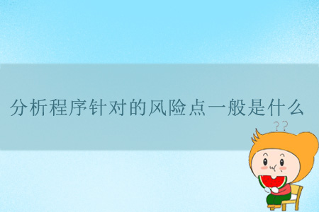 分析程序針對的風(fēng)險(xiǎn)點(diǎn)一般是什么？
