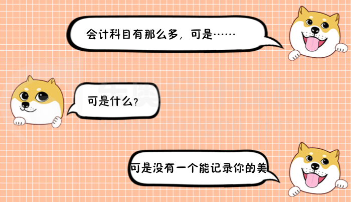 會計人土味情話6