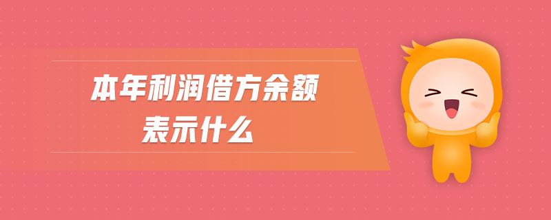 本年利潤借方余額表示什么