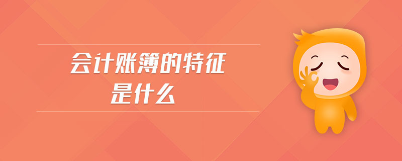 會(huì)計(jì)賬簿的特征是什么