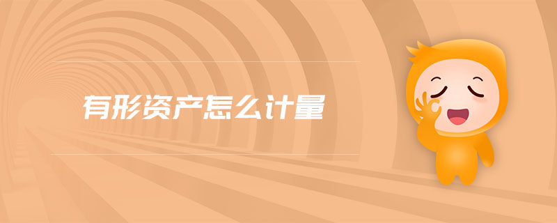 有形資產(chǎn)怎么計(jì)量