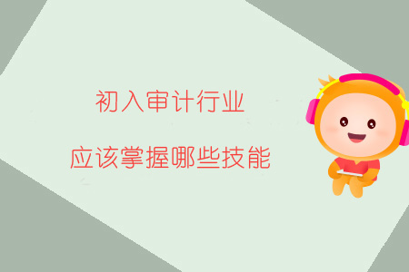 初入審計行業(yè)，應該掌握哪些技能？