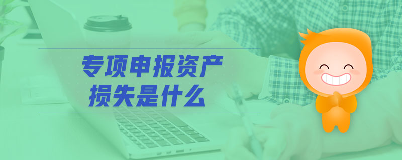 專項申報資產(chǎn)損失是什么