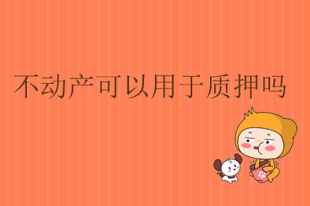不動產(chǎn)可以用于質(zhì)押嗎？