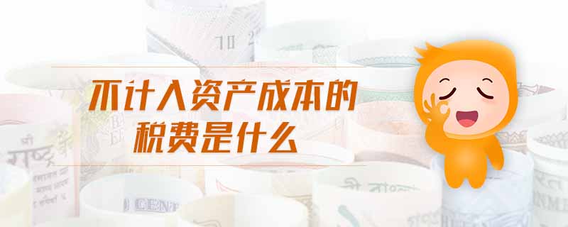 不計(jì)入資產(chǎn)成本的稅費(fèi)是什么