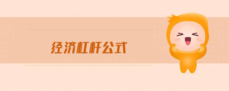 經(jīng)濟(jì)杠桿公式