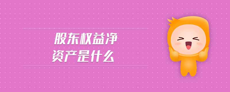 股東權(quán)益凈資產(chǎn)是什么